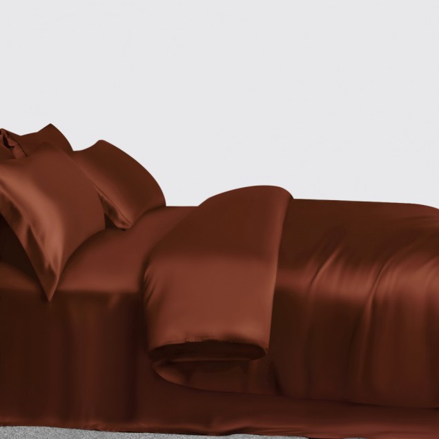 Rust Red 3 PCS 22 Momme Mulberry Silk Duvet Cover Set Australia Rust Red 3 PCS 22 Momme Mulberry Silk Duvet Cover Set Australia